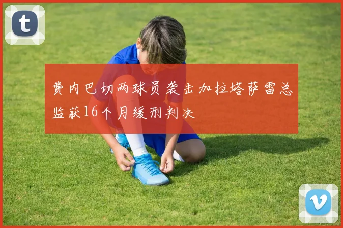 费内巴切两球员袭击加拉塔萨雷总监获16个月缓刑判决