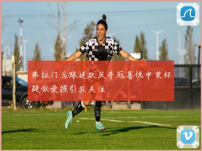 弗拉门戈球迷欢庆夺冠喜悦中奖杯疑似受损引发关注
